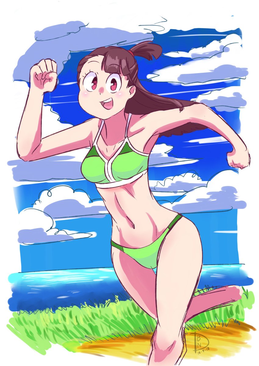 1girls 2019 akko_kagari clouds cloudy_sky colored_background crossover deanialsart devilman devilman_crybaby fanart female grass little_witch_academia long_hair ponytail water watermark