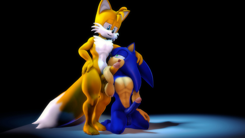 16:9 3d absurd_res anthro balls canid canine digital_media_(artwork) duo eulipotyphlan fox genitals hand_on_head handjob hedgehog hi_res kneeling licking licking_lips male male/male mammal nude penile penis sex sonic_(series) sonic_the_hedgehog sonicfoxhound source_filmmaker tails tongue tongue_out widescreen