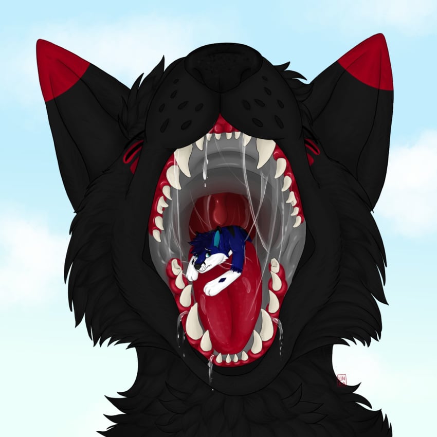 anthro black_body black_fur black_nose blue_body blue_fur bodily_fluids canid canine canis chik0 chikorainfox demon domestic_dog duo eating fangs feral focus focused forced fox fur hi_res macro macromicro male male/male mammal mawplay micro micro_on_macro mouth_shot open_mouth oral predator/prey prey saliva saliva_drip saliva_on_tongue samuelwolfo sex sharp_teeth size_difference swallowing teeth teeth_showing tongue tongue_out vore vore_sex wolf zeromusfur