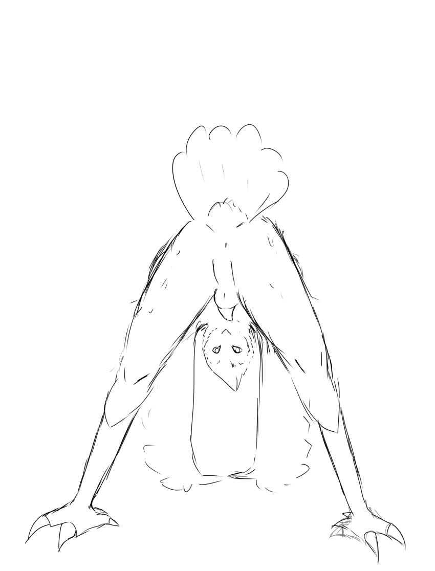Absurd Res Rule 34 Image