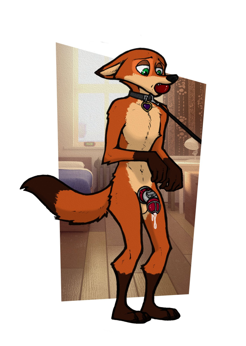 2021 anthro bondage bound collar cum disney fox furry furry_only gag gagged half-closed_eyes leash looking_down luraiokun male male_only nick_wilde orange_body orange_fur penis red_fur risenhentaidemon zootopia