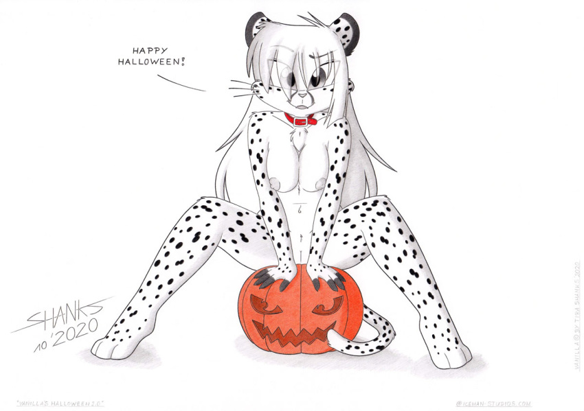 anthro breasts cheetah collar collar_only english_text felid feline felis female food fruit genitals halloween halloween_2020 holiday_message holidays mammal nude paws plant pumpkin pussy solo text tirashanks_(artist) vanilla_(tirashanks)