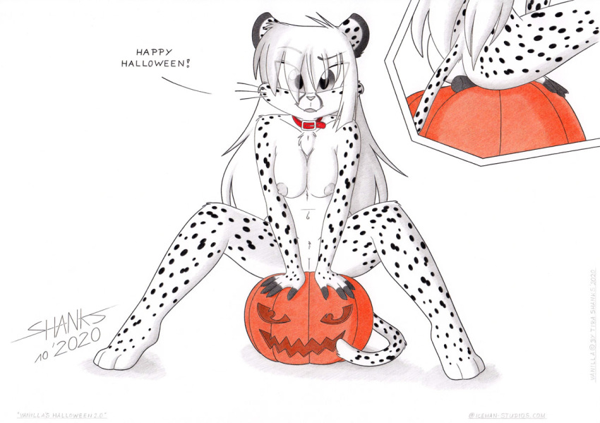 anthro ass breasts cheetah collar collar_only felid feline female food fruit genitals halloween halloween_2020 holidays mammal nude paws plant pumpkin pussy solo tirashanks_(artist) vanilla_(tirashanks)