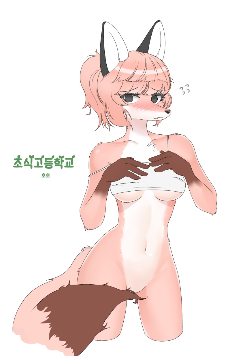 anthro breasts canine fox herbivore_high_school hoho_(herbivore_high_school) mammal swetpot