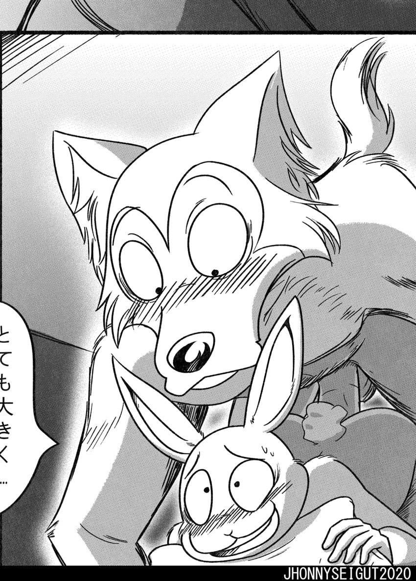 2020 anthro ass balls beastars blush canid canine canis comic dialogue duo female female_penetrated from_behind_position genitals greyscale haru_(beastars) hi_res japanese_text jhonnyseitgut lagomorph larger_male legoshi_(beastars) leporid looking_pleasured male male_penetrating male_penetrating_female mammal manga monochrome nude on_model penetration penis pillow predator/prey rabbit sex silly_face size_difference smaller_female smaller_penetrated straight text wolf