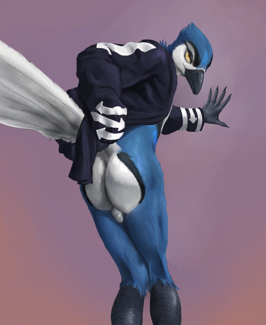 absurd_res anthro ass asurii avian backsack balls beak biped bird blue_body blue_jay bottomless claws clothed clothing corvid digital_media_(artwork) feathers genitals hi_res humanoid_genitalia jacket jay_(bird) jihyun looking_at_viewer looking_back male male_only narrowed_eyes new_world_jay oscine partially_clothed passerine presenting presenting_balls presenting_hindquarters simple_background solo tail_feathers talons topwear