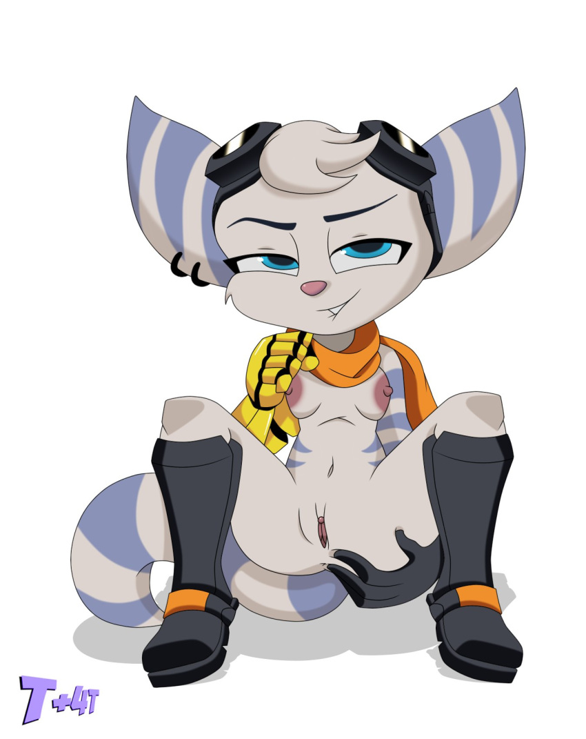 biting_lip insomniac legs_apart lewdacris lombax looking_at_viewer ratchet_and_clank ratchet_and_clank:_rift_apart rift_apart_lombax rivet_(ratchet_and_clank) seductive_look seductive_smile t+4t white_background