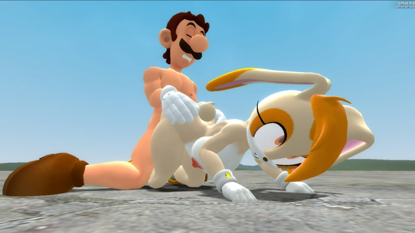 Cream The Rabbit (Garry'S Mod) Rule 34 Image