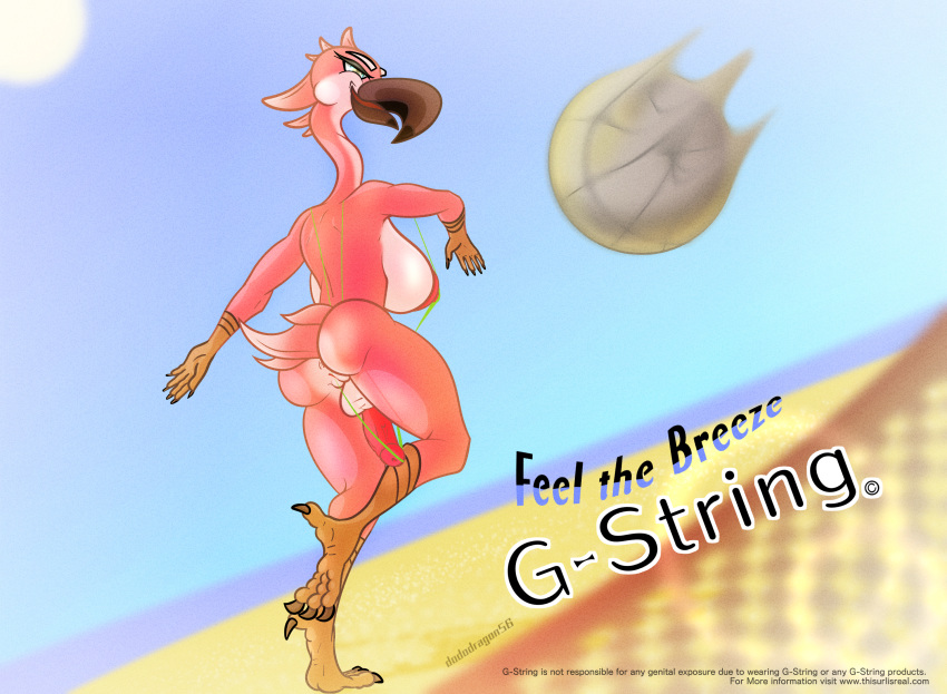 1futa advertisement anthro anus avian ball balls beach beach_ball bikini bird breasts claws clothing dododragon56 english_text feathers flamingo furry futanari g-string genitals herm hi_res intersex looking_aside mostly_nude net nipples nude penis pussy sand sea seaside sky small_clothing solo solo_futa sun swimwear talons text underwear url water