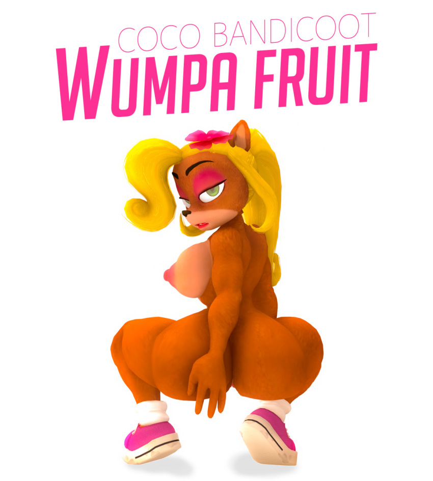 1girls 2020 3d accessory activision anaconda_(song) anaconda_pose anthro anthro_only ass bandicoot big_breasts big_butt black_nose blonde_hair breasts clothing coco_bandicoot crash_(series) crouching curled_hair digital_media_(artwork) english_text eyebrows eyelashes eyeshadow female female_only flower flower_in_hair footwear footwear_only garbage-chan genitals green_eyes hair hair_accessory half-closed_eyes hand_on_butt hi_res huge_butt legwear long_hair looking_at_viewer looking_back makeup mammal marsupial naked_footwear naked_shoes naked_sneakers naked_with_shoes_on narrowed_eyes nipples nude parody pink_clothing pink_eyeshadow pink_flower pink_footwear pink_shoes plant ponytail pose pussy shoes side_boob simple_background small_waist sneakers socks solo text thick_thighs tiptoes title video_games white_background white_clothing white_legwear white_socks