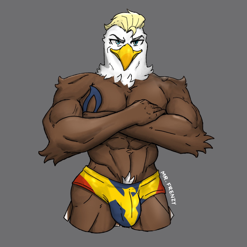 1:1 2020 abs accipitrid accipitriform anthro arm_tuft avian beak big_bulge bird blonde_hair bulge clothing crossed_arms eagle grey_background hair hi_res looking_at_viewer male male_only mr._frenzy muscular muscular_anthro muscular_male navel neck_tuft pubes shoulder_tuft simple_background solo speedo standing swimwear tuft