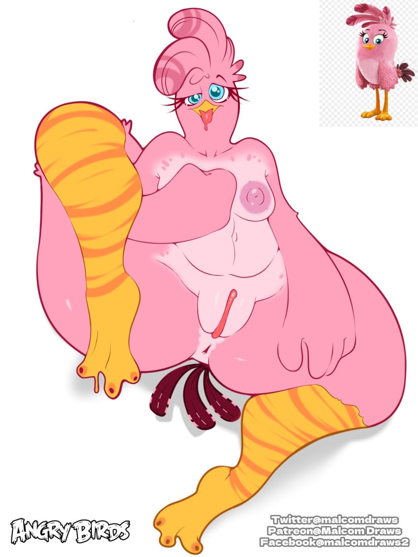 Stella (Angry Birds) Rule 34 Image