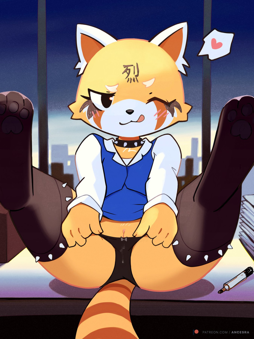 2d 3:4 aggressive_retsuko ailurid ancesra anthro blush camera_view clothing fur furry genitals hi_res leggings legs_up legwear makeup mammal office_lady panties pawpads presenting pussy red_panda retsuko sanrio sitting solo straight_hair underwear yellow_body yellow_fur