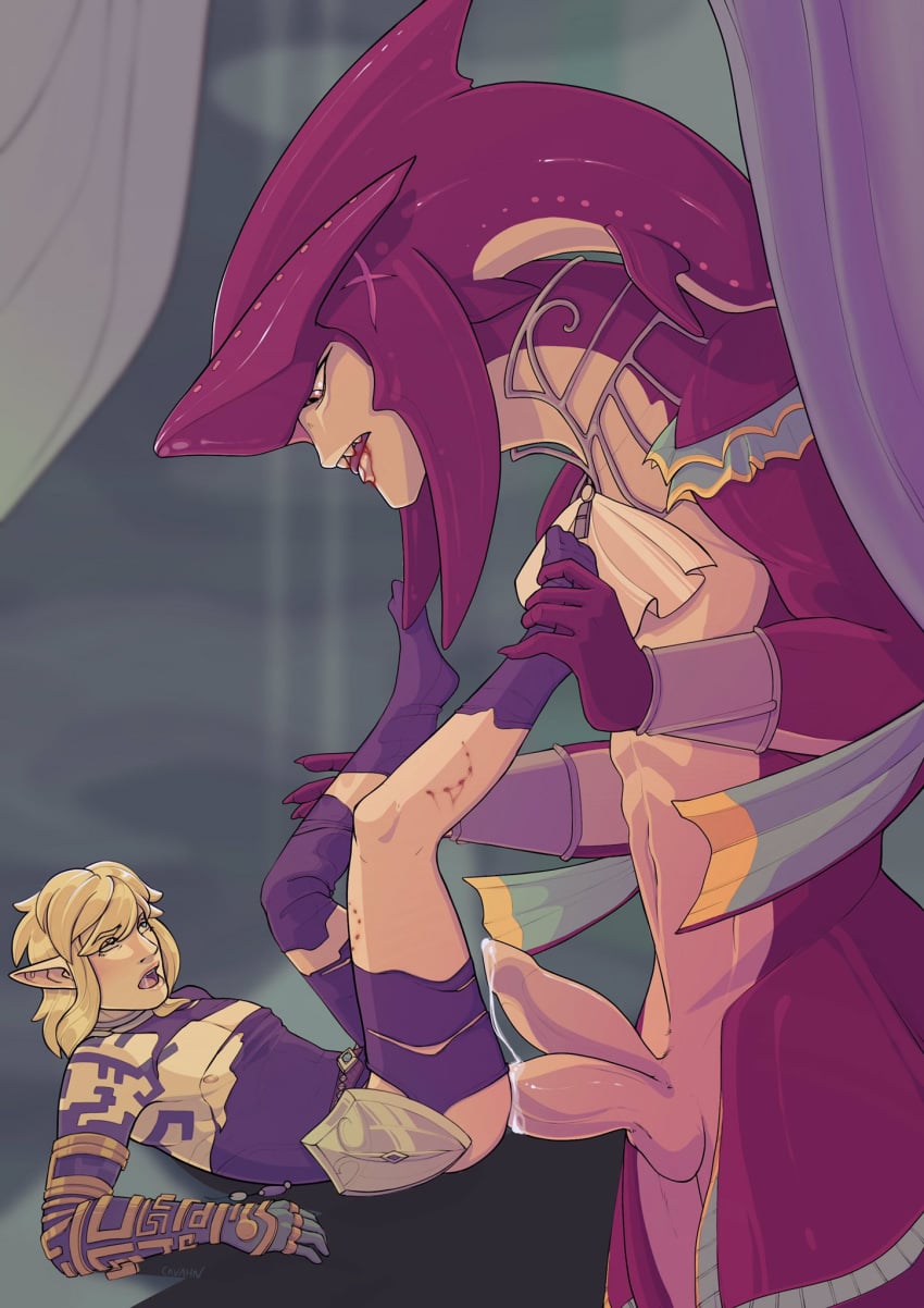 Link (Breath Of The Wild) Rule 34 Image
