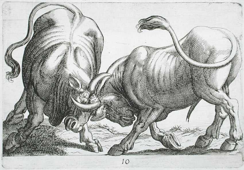 Hatching (Art) Rule 34 Image