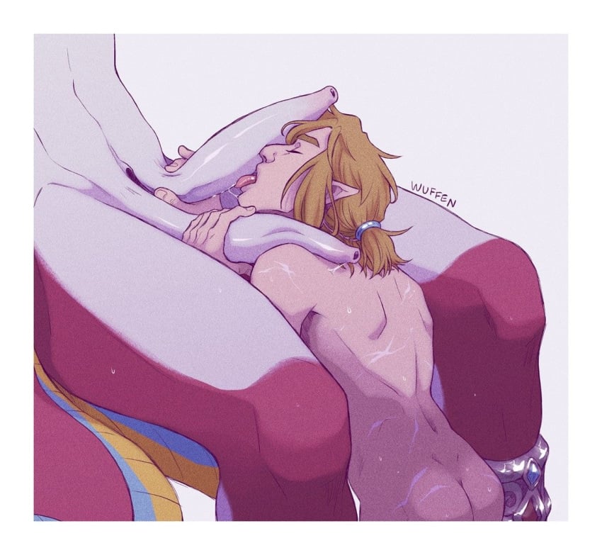 Link (Breath Of The Wild) Rule 34 Image
