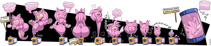 Amy Rose (Sonic (Series)) Rule 34 Image