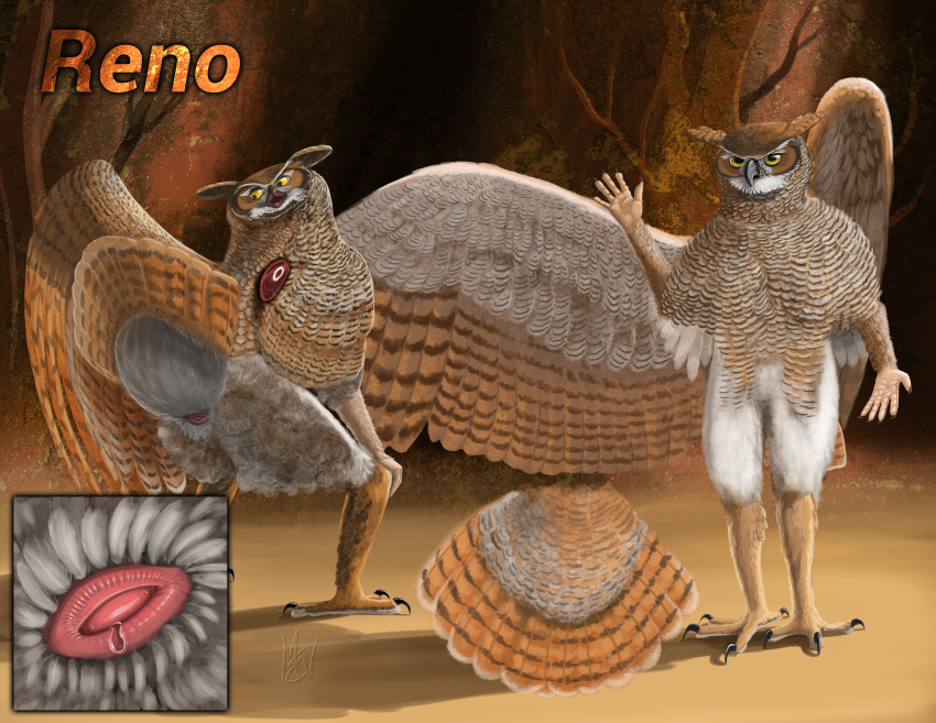 Bubo (Genus) Rule 34 Image