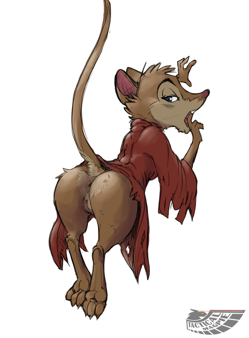 anthro anus ass cloak clothing don_bluth female finger_fetish finger_in_mouth finger_play fingers genitals hi_res looking_at_viewer mammal milf mouse mrs._brisby murid murine presenting presenting_hindquarters pussy rodent secret_of_nimh simple_background solo tacticalmagpie white_background