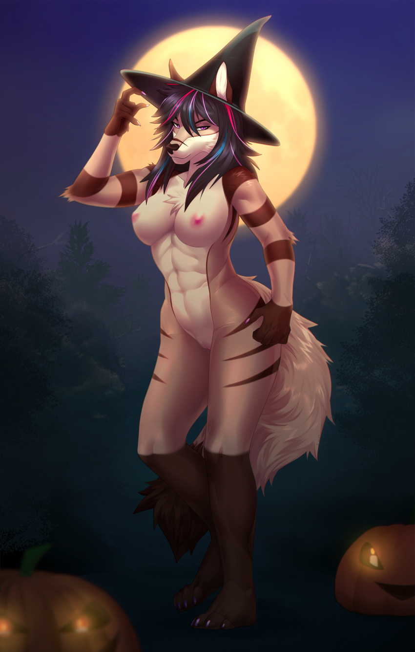 2020 abs absurd_res anthro areola black_body black_fur breasts canid canine canis claws clitoris clothed clothing digital_media_(artwork) eyelashes female food forest fox fruit fur furry furry_only genitals grey_fox hair halloween hat headgear headwear hi_res holidays jack-o'-lantern kyla_gray_(zardoseus) l-i-t-t-l-e_f-i-r-e magic_user mammal moon naked nude plant pumpkin purple_eyes pussy smile solo solo_female tail tree urocyon video_games white_body white_fur witch witch_hat zardoseus