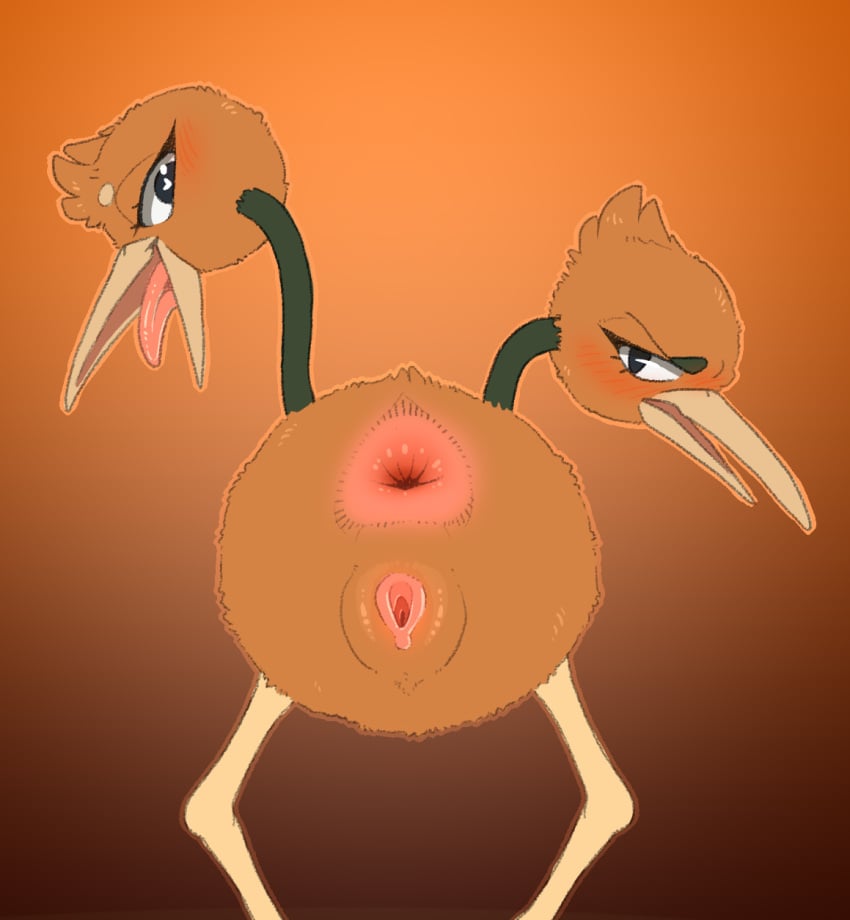 2024 anus ass avian backsash bird blush brown_body digital_media_(artwork) doduo female feral fur generation_1_pokemon genitals hair heart_eyes heart_symbol hi_res looking_at_viewer looking_back mammal multi_head nintendo nude open_mouth pokemon pokemon_(species) presenting presenting_hindquarters presenting_pussy pussy simple_background smile solo tongue tongue_out