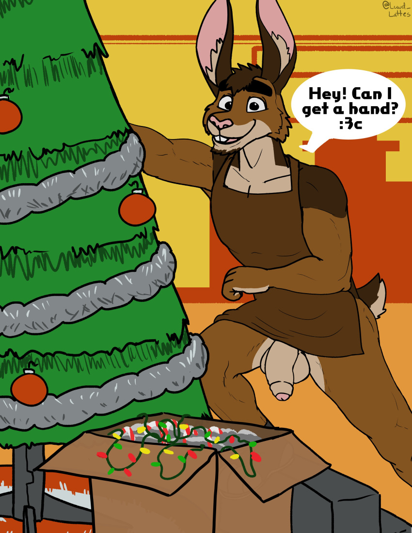 absurd_res anthro apron box christmas christmas_lights christmas_tree clothing container flaccid foreskin genitals hi_res holidays lagomorph leporid lewd_latte lights male mammal ornament penis plant rabbit smile solo step_stool tinsel tree window