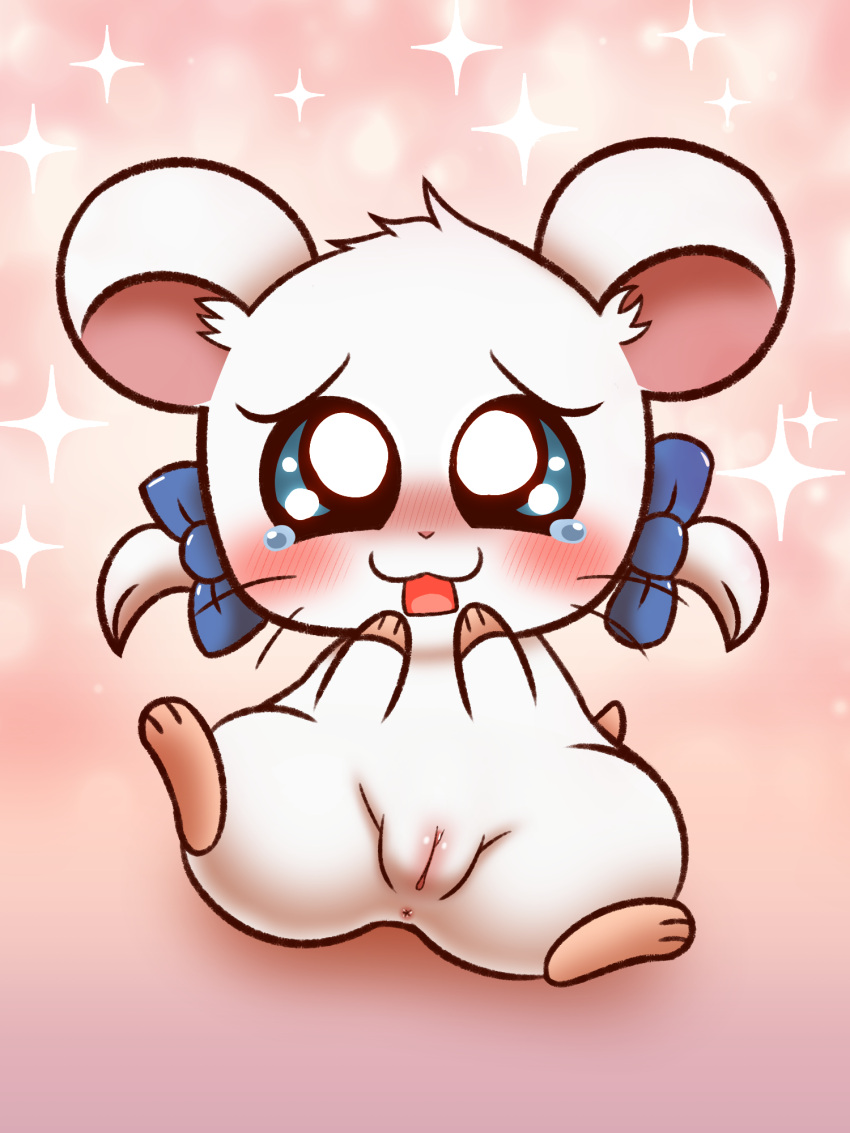 1girls animal bijou_(hamtaro) bodily_fluids bow cricetid female female_only feral genitals hamster hamtaro_(series) hi_res koufun mammal nude pussy ribbons rodent solo spread_legs spreading tears