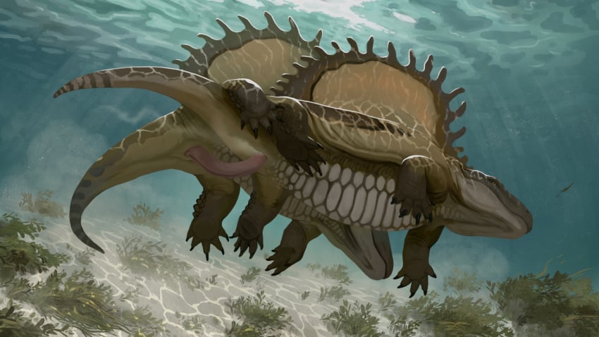 16:9 dimetrodon feral hi_res invalid_tag marine paleoart pelycosaur penetration prehistoric reptile scalie sea sex sphenacodontid synapsid technesaurus underwater water widescreen