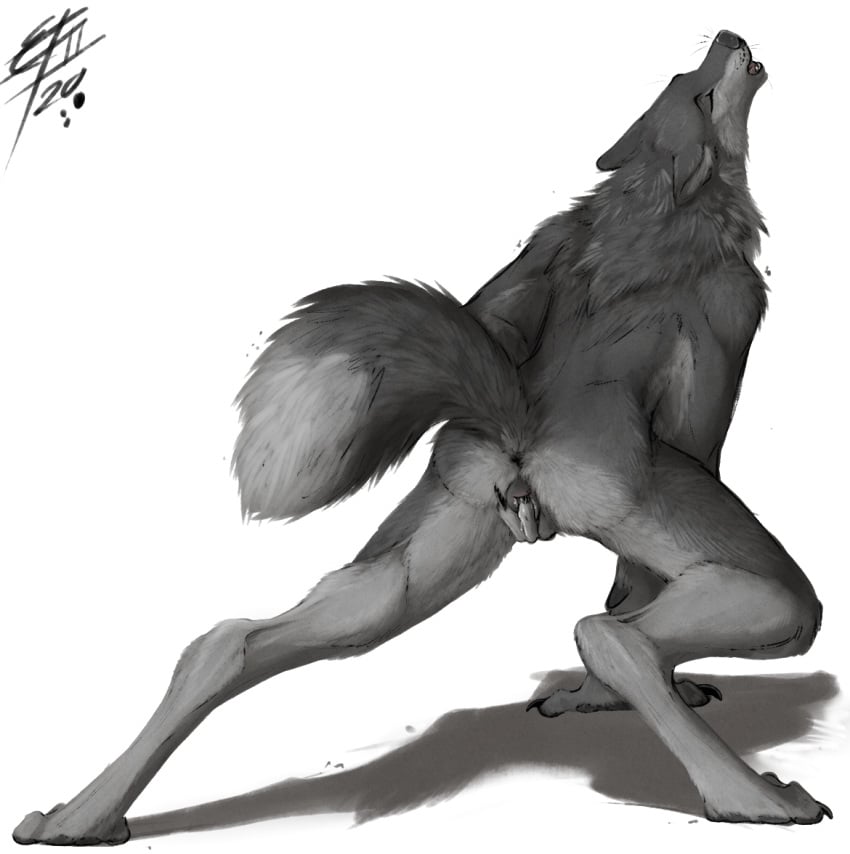 2020 anatomically_correct animal_genitalia animal_pussy anthro anus canid canine canine_pussy canis female finger_fuck fingering fur genitals lizet mammal masturbation nude pussy solo vaginal_masturbation vaginal_penetration vera_(lizet) were werecanid werecanine werewolf wolf