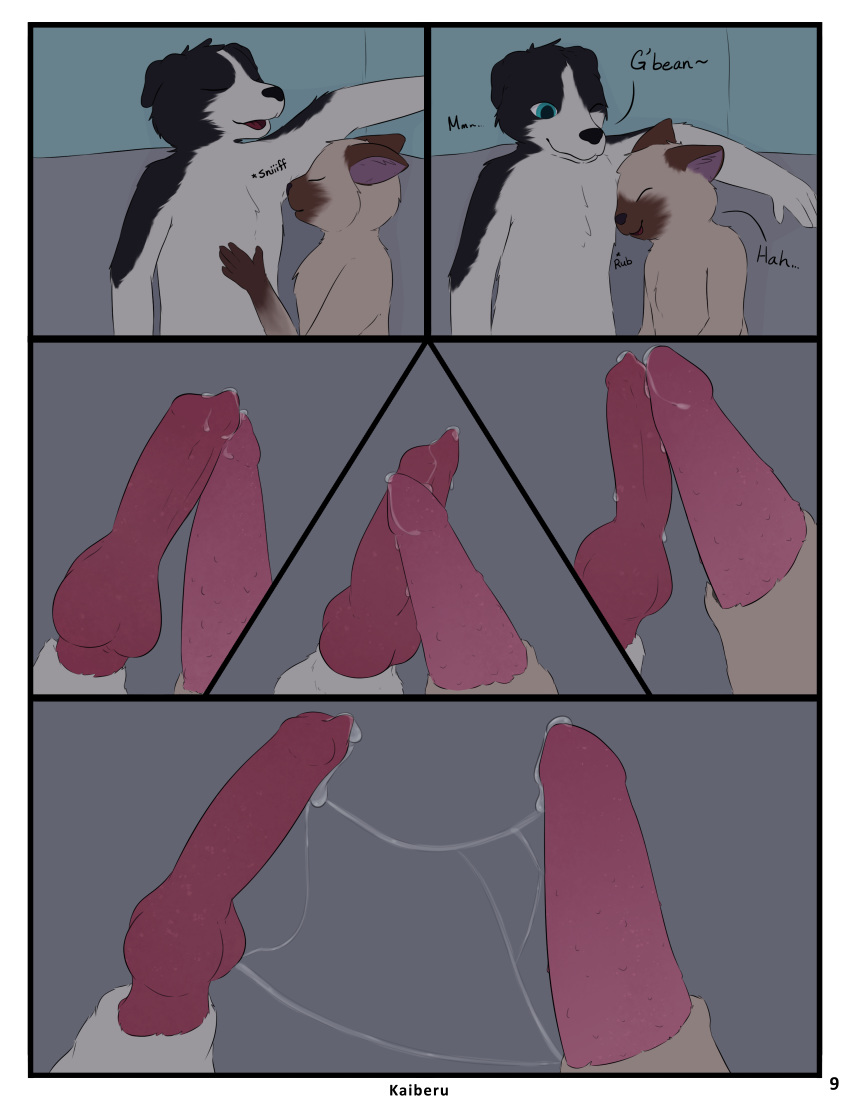 absurd_res anatomically_correct anatomically_correct_genitalia anatomically_correct_penis animal_genitalia animal_penis anthro armpit_fetish armpit_sniffing balls bed bodily_fluids border border_collie canid canine canine_penis canis closed_eyes collie comic cuddling cum domestic_cat domestic_dog duo english_text felid feline feline_penis felis frottage furniture genital_fluids genitals herding_dog hi_res inside kaiberu knot male male/male mammal night one_eye_closed pastoral_dog penis pillow precum sex sheath sheepdog siamese sniffing text white_border