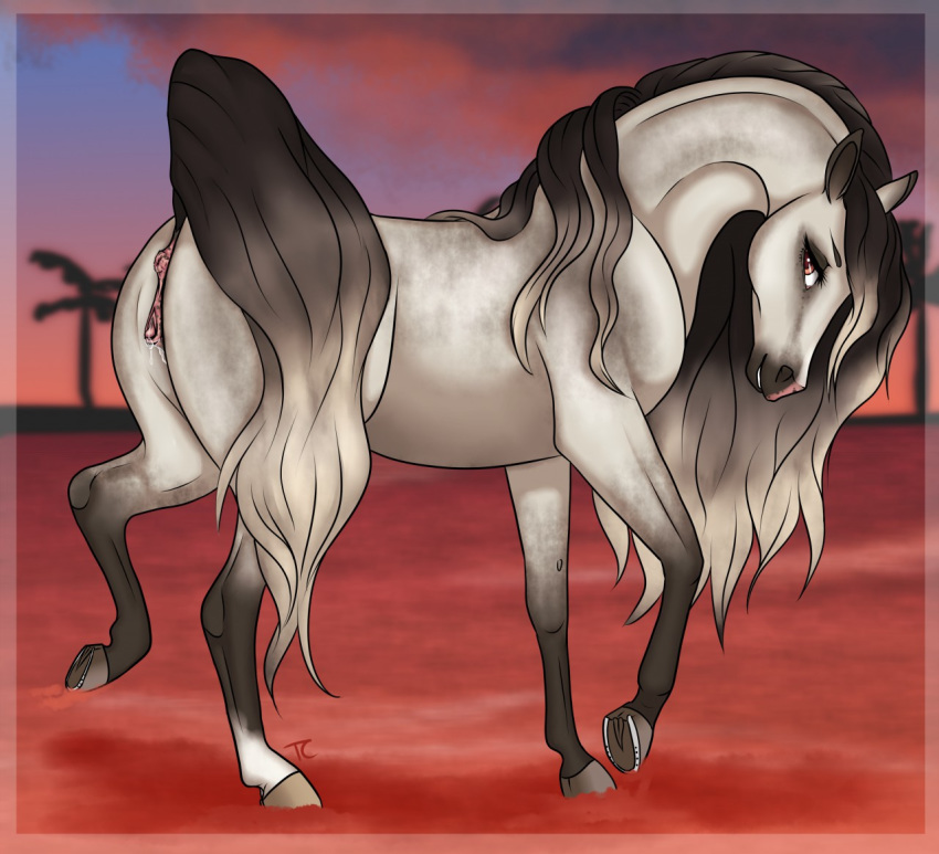 2017 anatomically_correct anatomically_correct_anus anatomically_correct_genitalia anatomically_correct_pussy animal_genitalia animal_pussy anus bodily_fluids dapple equid equine equine_pussy female feral fur genital_fluids genitals grey_arabian hair horse looking_at_viewer mammal one_eye_closed pony pussy pussy_juice pussy_juice_drip raised_tail solo tabascocat wet wink