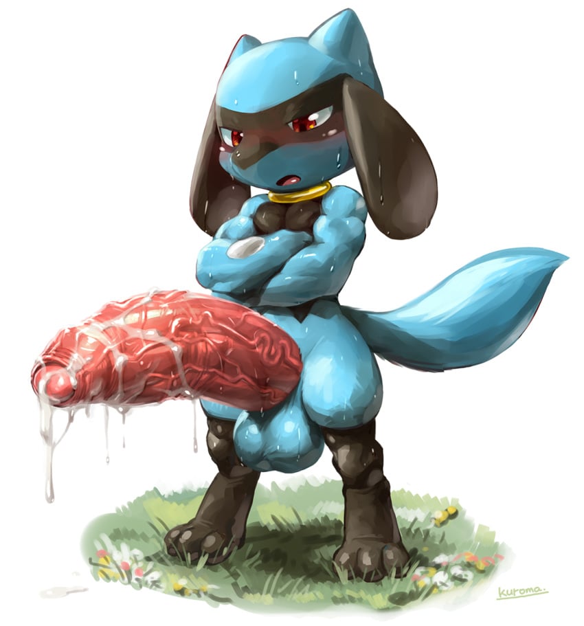 anthro balls big_penis blush bodily_fluids collar crossed_arms cum cum_on_penis foreskin genital_fluids genitals grass hi_res huge_cock hyper hyper_genitalia hyper_penis kuroma looking_down male male_only nintendo partially_retracted_foreskin penis pokémon_(species) pokemon riolu small_but_hung solo sweat uncut vein veiny_penis video_games