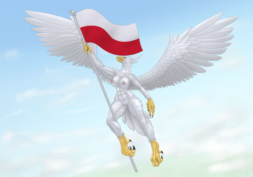 absurd_res accipitrid accipitriform anthro areola avian big_breasts bird breasts claws eagle female flag flagpole flying genitals hi_res nipples non-mammal_breasts nude poland polish_flag pussy solo testowepiwko wings