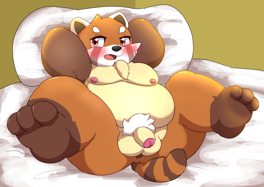 2020 ailurid anthro ass balls bed belly blush flaccid furniture genitals hi_res kemono kusosensei male male_only mammal moobs nipples overweight overweight_anthro overweight_male penis pillow red_panda solo