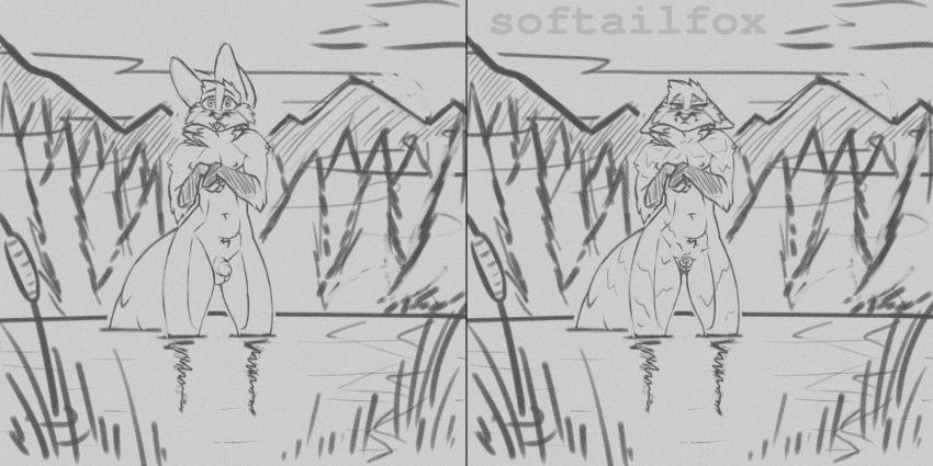 1boy 2:1 anthro anthro_only balls before_and_after blep bulrush canid canine casual circumcised cold cold_water coniferous_forest fox fur furry_only genitals girly glistening hi_res humanoid lake male mammal monochrome mountain mountain_range mountainous_horizon mountainside nature no_humans nude nudist outdoor_nudity outdoors penis penis_shrinking red_fox reflection shrunken shrunken_penis skinny_dipping small_penis softailfox solo tongue tongue_out wading water water_reflection wet wet_body wet_fur