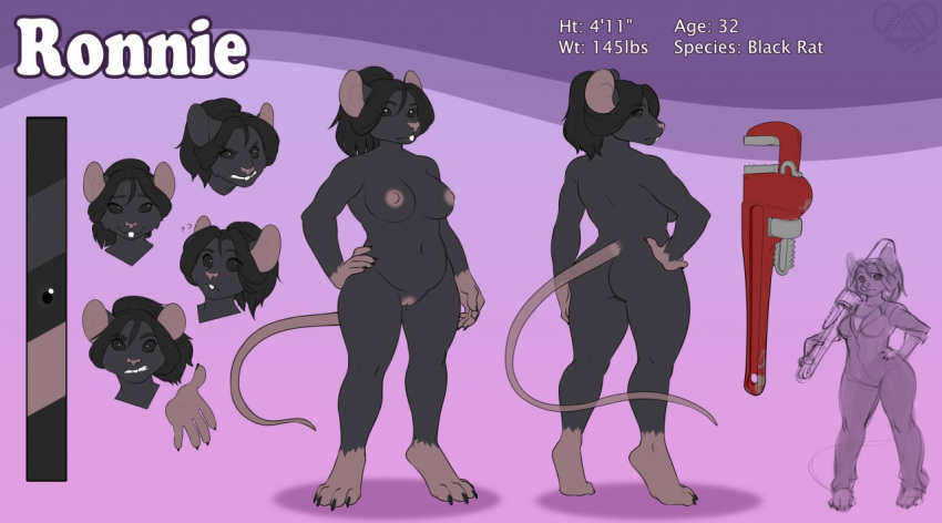 anthro black_body black_eyes black_fur black_hair breasts buckteeth coveralls digitigrade female fur genitals hair hand_on_hip kittydee mammal model_sheet murid murine nipples nude ponytail pussy rat rodent ronnie_(chances) slightly_chubby solo teeth tools wrench