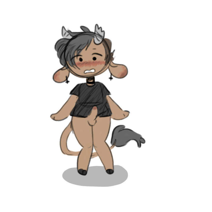 1:1 1boy 2020 anthro balls big_tail blush bottomless bovid bovine broken_horn brown_body brown_fur cattle clothing cross digital_media_(artwork) ear_piercing erection femboy fur genitals girly grey_hair grey_horn hair hi_res hooves horn humanoid_genitalia humanoid_penis inverted_cross jewelry looking_at_viewer male male_only mammal manitka manitka_(character) mob_face necklace open_mouth penis piercing shirt simple_background simple_eyes solo topwear trap white_background wide_hips young