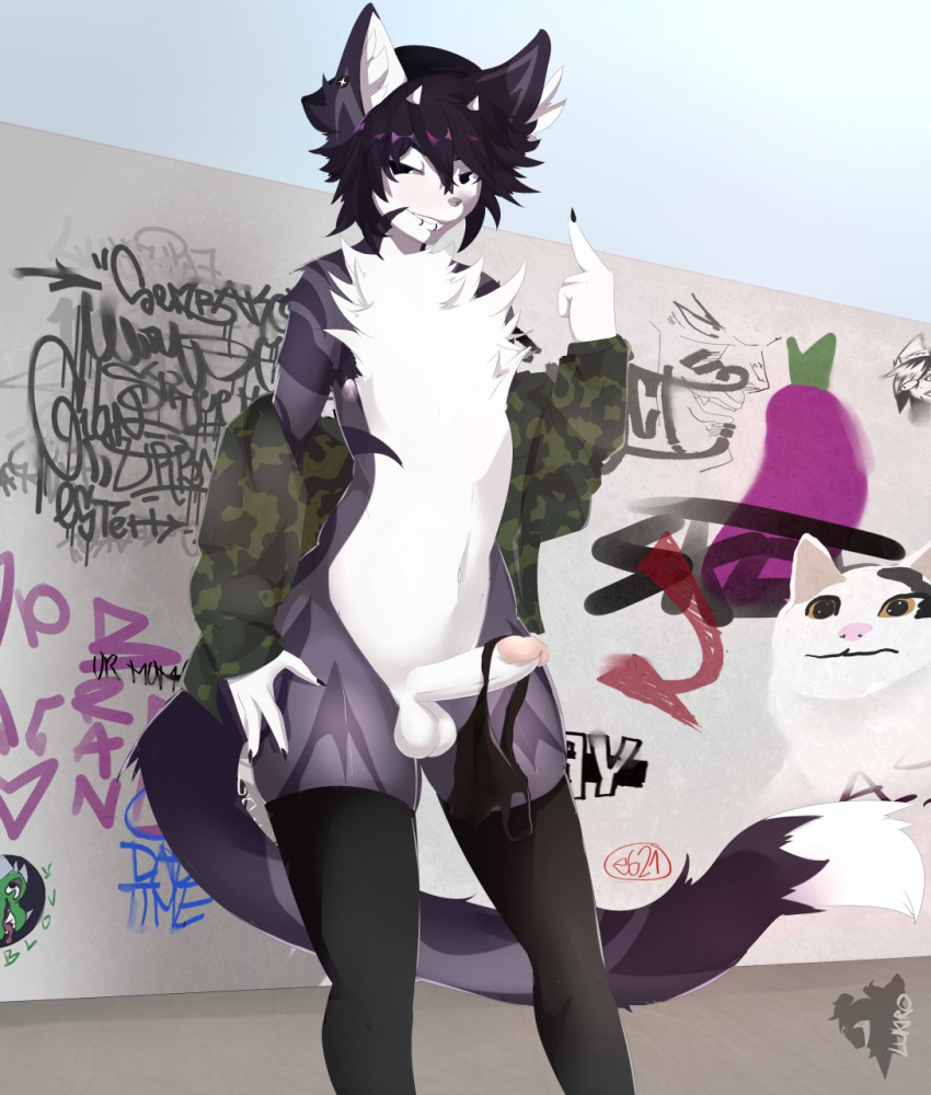 2018 anthro biped black_claws claws clothing digital_media_(artwork) dipstick_tail domestic_cat e621 eggplant erection felid feline felis fingers food fruit genitals girly graffiti grey_nose hair hi_res humanoid_genitalia humanoid_penis legwear lukiro male mammal multicolored_tail panties penis plant solo standing thigh_highs underwear