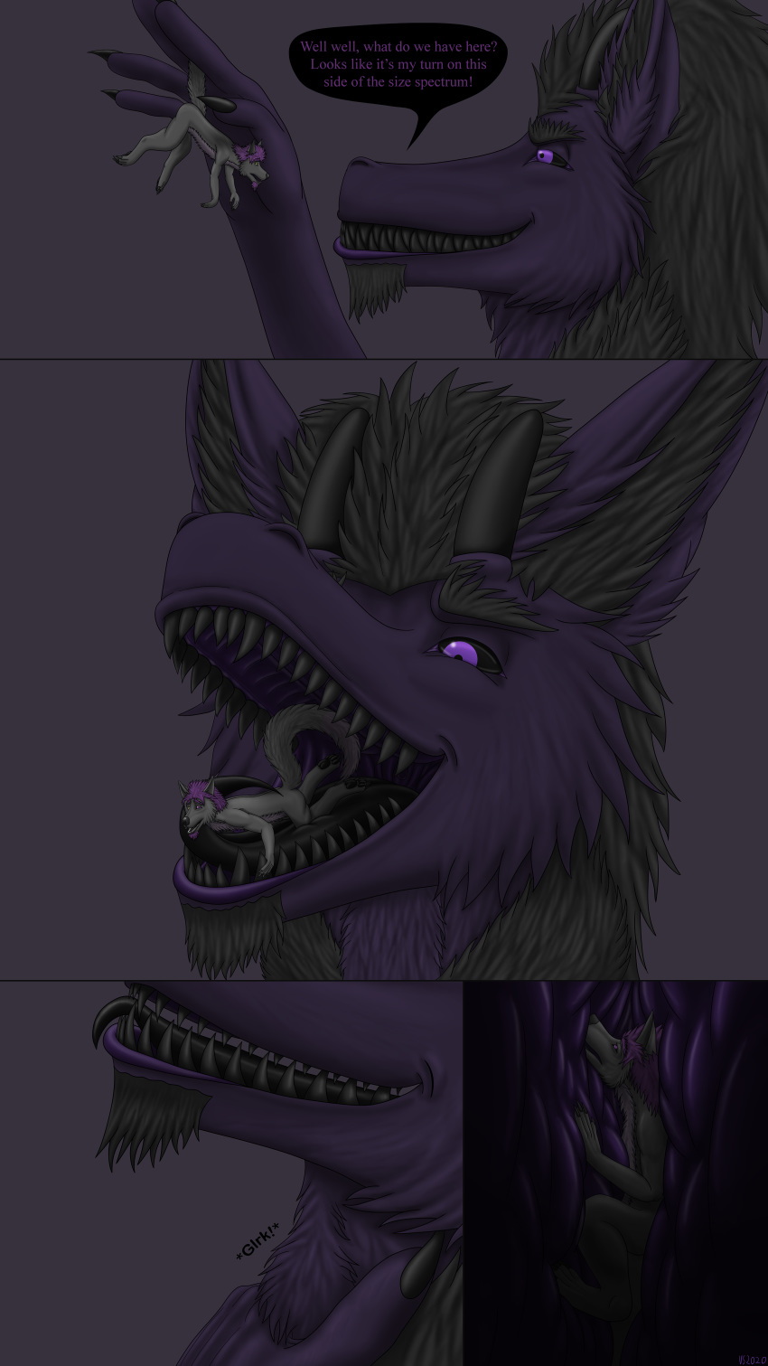 9:16 absurd_res ambiguous_gender anthro black_body black_fur black_sclera black_tongue canid canine canis comic dragon duo english_text facial_hair fur furred_dragon gaping_mouth goatee grey_body grey_fur handheld hi_res in_mouth internal macro mammal micro morosi on_tongue open_mouth oral_vore purple_body purple_eyes purple_fur sharp_teeth simple_background sound_effects speech_bubble swallowing teeth text tongue vahldem vahldem_sol vore wolf