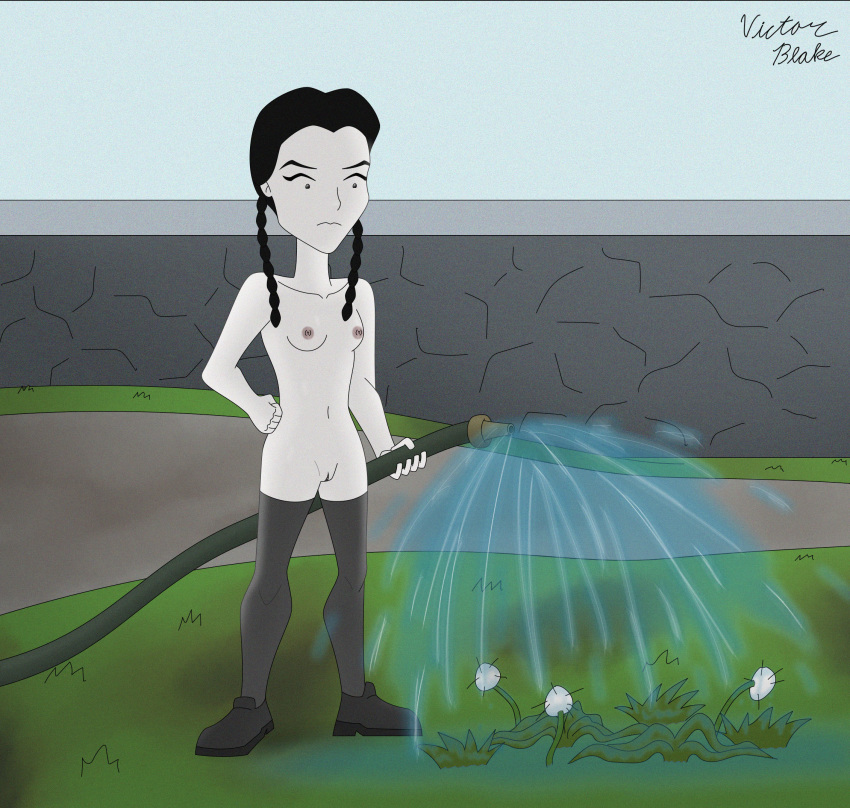 Wednesday Addams (The Addams Family) Rule 34 Image