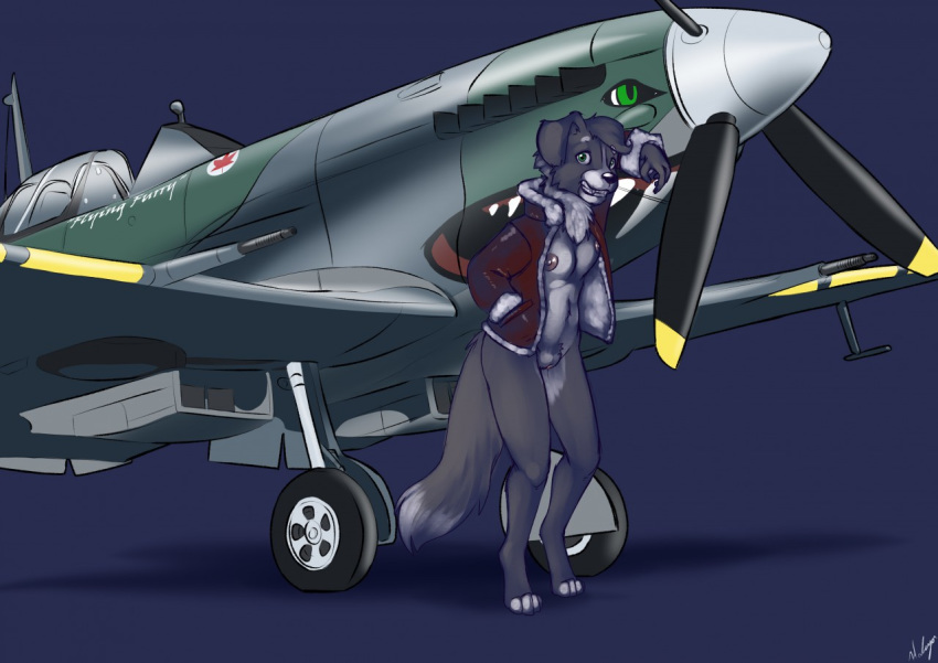 aircraft airplane anthro border_collie breasts canid canine canis clothing collie domestic_dog female fighter_plane flight_jacket fur genitals green_eyes grey_body halcy0n herding_dog jacket looking_at_viewer machine mammal nipples nose_art nude pastoral_dog propeller pussy sheepdog solo spitfire topwear vehicle wings