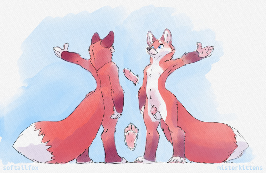 anthro balls barefoot big_ears blue_eyes canid canine flaccid fluffy fluffy_tail foreskin fox fur genitals glistening glistening_genitalia glistening_penis handpaw hindpaw long_tail male mammal model_sheet navel neck_tuft nude paws penis plantigrade red_body red_fox red_fur softailfox solo tuft wide_hips