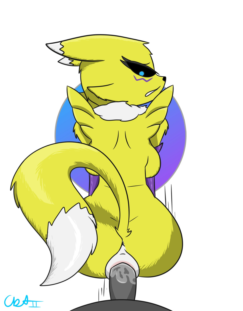 anthro anthro_only digimon furry penetration penis pov renamon simple_background sos_or_loss unknown_male yiff