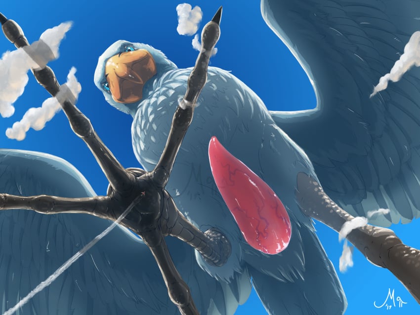 2019 4_toes anisodactyl avian beak bird blue_eyes cloud erection feathered_wings feathers featureless_crotch feral genitals hi_res low-angle_view macro magpi male male_only mega_macro pelecaniform penis pink_penis scales shoebill solo spread_wings toes vein veiny_penis white_body white_feathers wings worm's-eye_view yellow_beak yellow_body yellow_scales