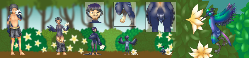 2020 absurd_res anthro ass avian bird blue_body blue_feathers day eyewear feathers flower flying genitals glasses hair hi_res humanoid humanoid_to_anthro hummingbird ichihara-chan kilt long_image male naturally_censored outside penis plant sequence shrinking size_transformation smile solo standing talons transformation wide_image