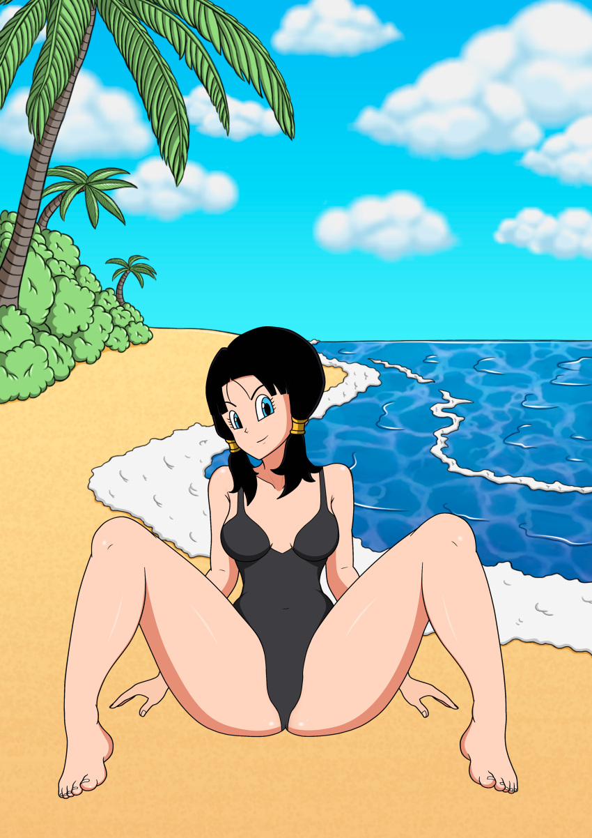 beach dragon_ball dragon_ball_z legs_apart pgsrule34 videl