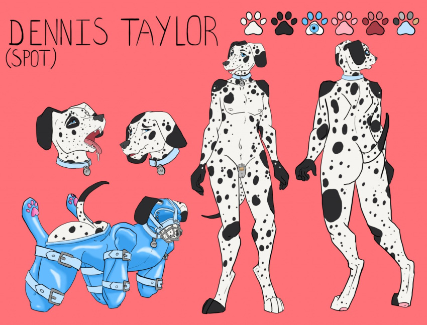 4_toes ahe_gao anthro ass bitchsuit black_body black_fur blindfold blue_eyes bodily_fluids bondage bondage bound canid canine canis chastity_cage chastity_device collar dalmatian dennis_taylor domestic_dog english_text fur hindpaw looking_at_viewer looking_pleasured male mammal model_sheet multiple_poses multiple_positions muzzle_(object) muzzled nipples nude open_mouth pawpads paws petpolaris pink_background pose saliva simple_background smile solo spots spotted_body spotted_fur standing straps text toes tongue tongue_out white_body white_fur worried