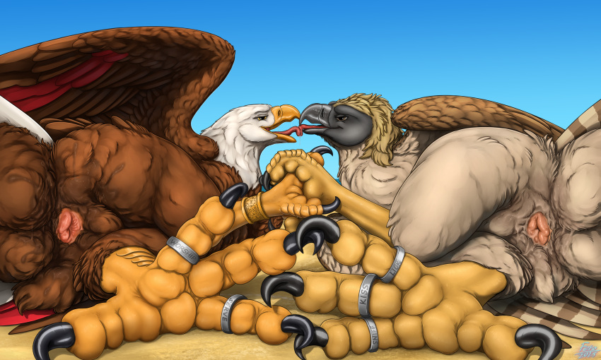 Pirate Eagle (Annie The Eagle) Rule 34 Image