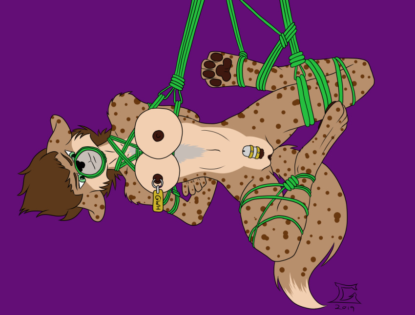 2019 4_toes anthro arms_behind_back arms_tied black_nose bondage bound breasts brown_hair brown_pawpads chastity_cage chastity_device frogtied fur futa_only futanari gag genitals goliathcpg green_rope gynomorph hair hands_behind_back hyaenid intersex legs_tied mammal muzzle_(object) muzzled nipple_piercing nipple_ring nipple_tag nipples nude pawpads penis piercing pussy rope rope_bondage signature spots spotted_body spotted_fur suspension suspension_bondage toes