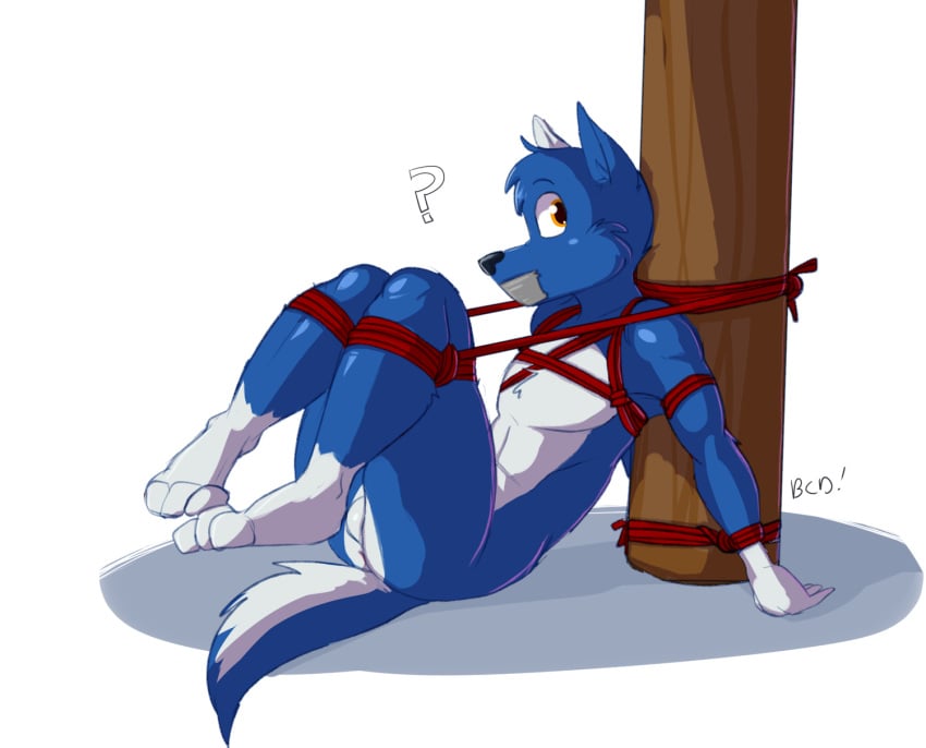 3_toes ? anthro anus balls bluecoffeedog bondage bound canid canine canis domestic_dog furry_only gag genitals hi_res legs_up liberty_(bluecoffeedog) male male_only mammal nude rope rope_bondage sitting solo tape tape_gag toes